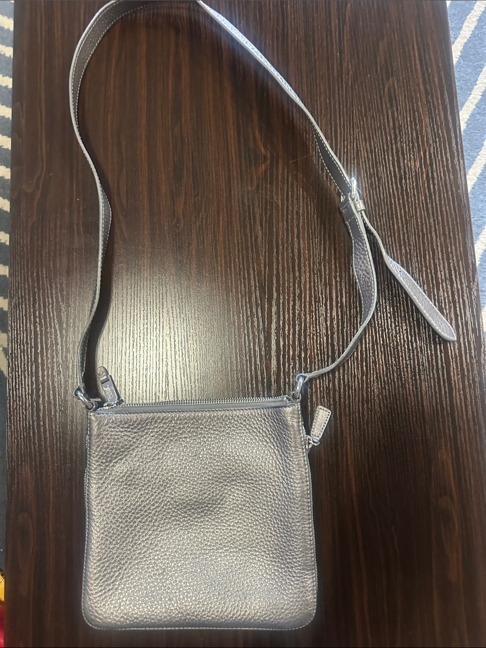 Cole Haan Leather Crossbody Bag in Metallic Silver
